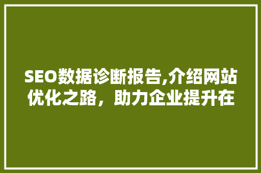 SEO数据诊断报告,介绍网站优化之路，助力企业提升在线竞争力