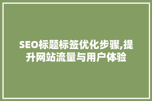 SEO标题标签优化步骤,提升网站流量与用户体验