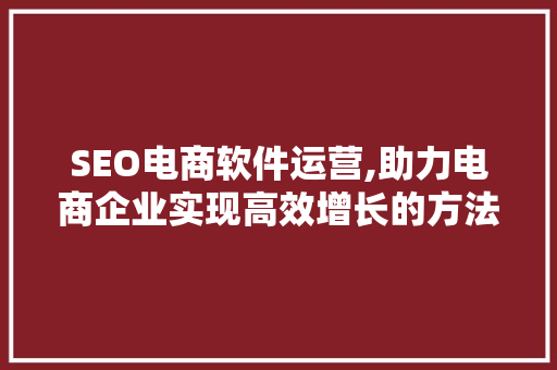 SEO电商软件运营,助力电商企业实现高效增长的方法