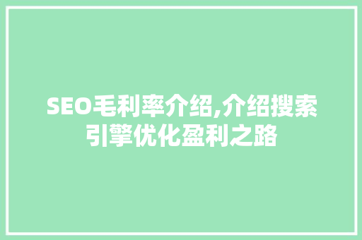 SEO毛利率介绍,介绍搜索引擎优化盈利之路