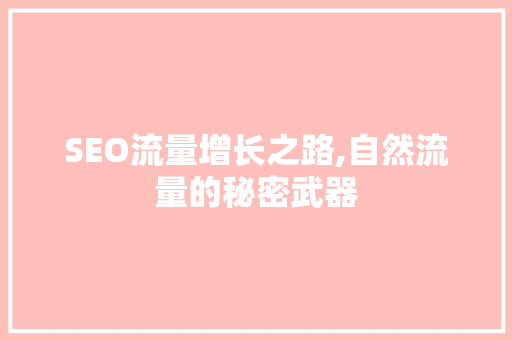 SEO流量增长之路,自然流量的秘密武器