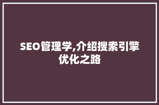 SEO管理学,介绍搜索引擎优化之路