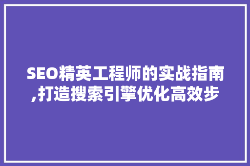 SEO精英工程师的实战指南,打造搜索引擎优化高效步骤