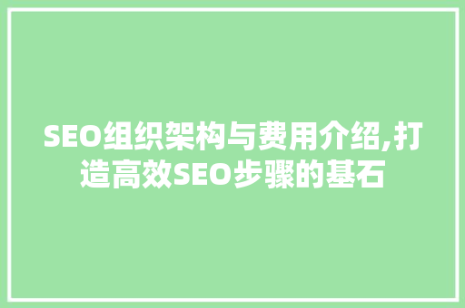 SEO组织架构与费用介绍,打造高效SEO步骤的基石