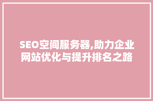 SEO空间服务器,助力企业网站优化与提升排名之路