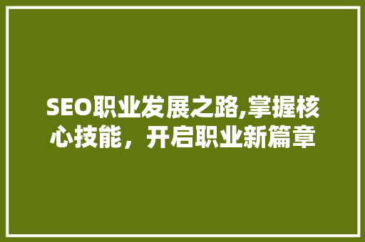SEO职业发展之路,掌握核心技能，开启职业新篇章