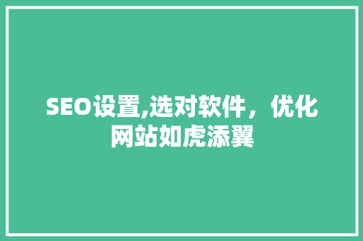 SEO设置,选对软件，优化网站如虎添翼