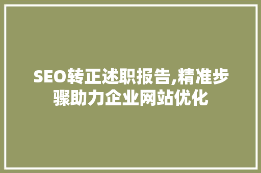 SEO转正述职报告,精准步骤助力企业网站优化