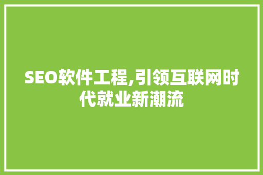 SEO软件工程,引领互联网时代就业新潮流