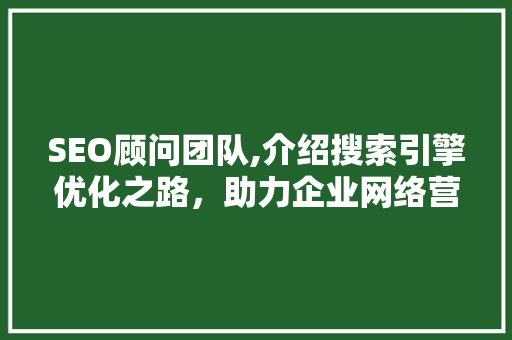 SEO顾问团队,介绍搜索引擎优化之路，助力企业网络营销腾飞