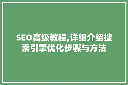 SEO高级教程,详细介绍搜索引擎优化步骤与方法