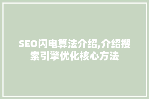 SEO闪电算法介绍,介绍搜索引擎优化核心方法