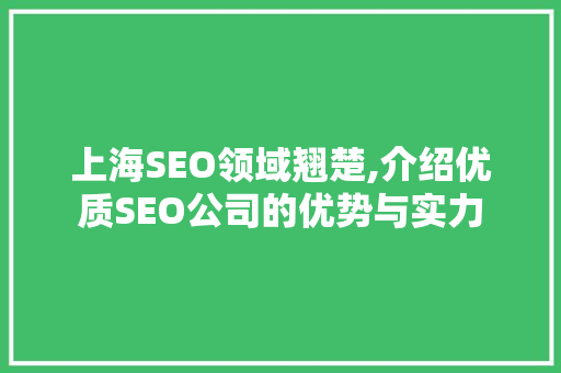 上海SEO领域翘楚,介绍优质SEO公司的优势与实力