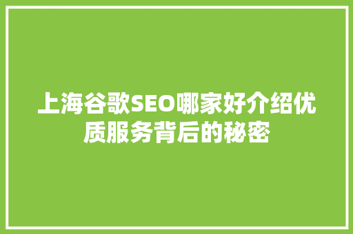 上海谷歌SEO哪家好介绍优质服务背后的秘密