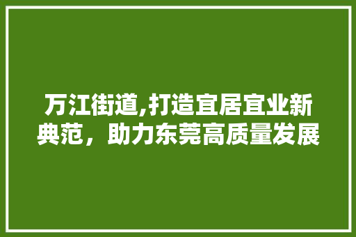 万江街道,打造宜居宜业新典范，助力东莞高质量发展