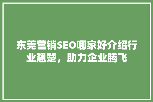 东莞营销SEO哪家好介绍行业翘楚，助力企业腾飞