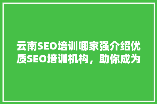 云南SEO培训哪家强介绍优质SEO培训机构，助你成为搜索优化高手