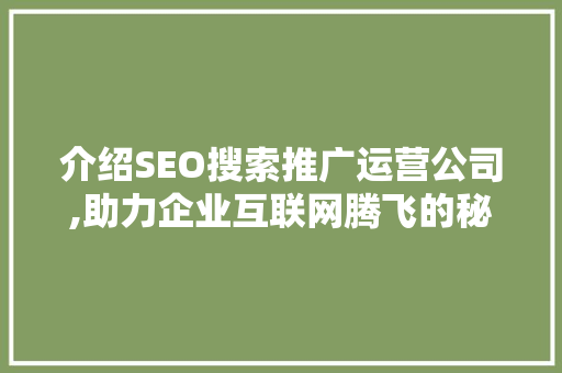 介绍SEO搜索推广运营公司,助力企业互联网腾飞的秘密武器