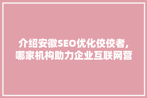 介绍安徽SEO优化佼佼者,哪家机构助力企业互联网营销再上新台阶