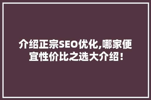介绍正宗SEO优化,哪家便宜性价比之选大介绍！