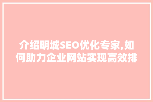 介绍明城SEO优化专家,如何助力企业网站实现高效排名