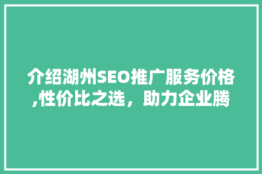 介绍湖州SEO推广服务价格,性价比之选，助力企业腾飞