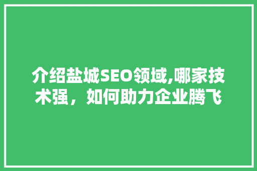 介绍盐城SEO领域,哪家技术强，如何助力企业腾飞
