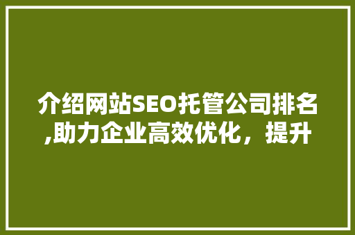 介绍网站SEO托管公司排名,助力企业高效优化，提升在线竞争力