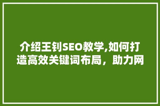 介绍王钊SEO教学,如何打造高效关键词布局，助力网站优化