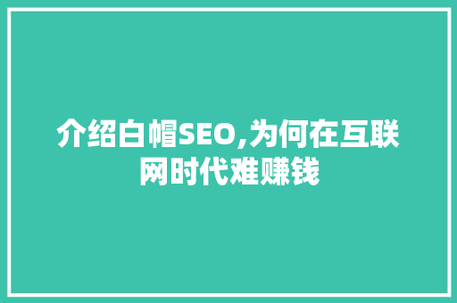 介绍白帽SEO,为何在互联网时代难赚钱