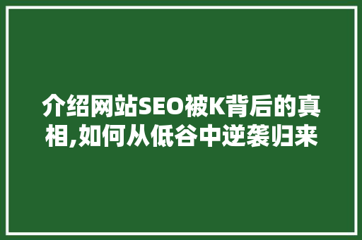 介绍网站SEO被K背后的真相,如何从低谷中逆袭归来