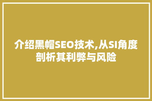 介绍黑帽SEO技术,从SI角度剖析其利弊与风险