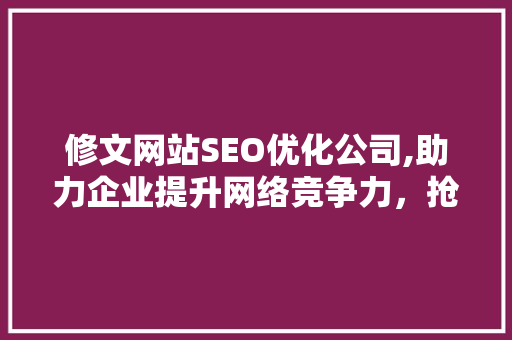 修文网站SEO优化公司,助力企业提升网络竞争力，抢占市场先机