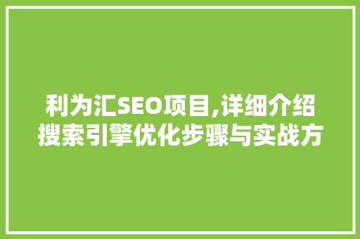 利为汇SEO项目,详细介绍搜索引擎优化步骤与实战方法