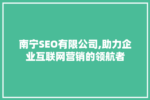 南宁SEO有限公司,助力企业互联网营销的领航者