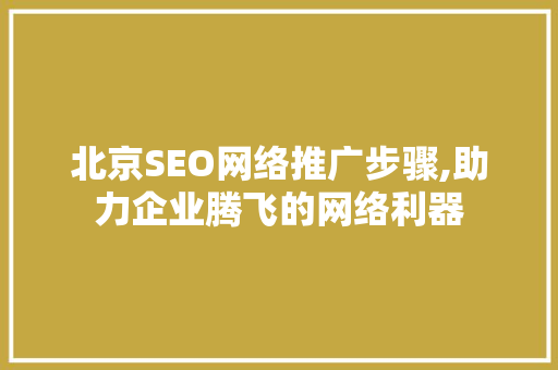 北京SEO网络推广步骤,助力企业腾飞的网络利器
