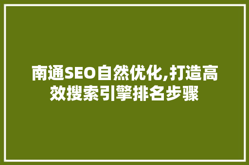 南通SEO自然优化,打造高效搜索引擎排名步骤