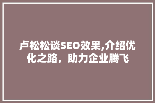 卢松松谈SEO效果,介绍优化之路，助力企业腾飞