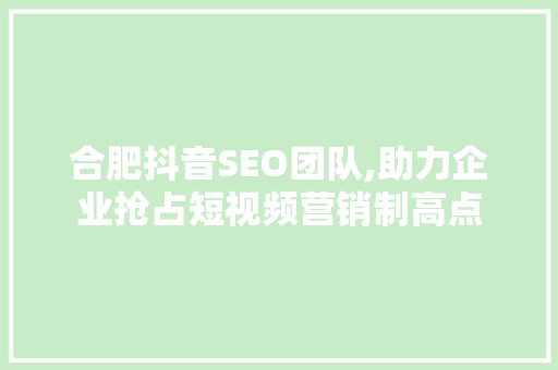 合肥抖音SEO团队,助力企业抢占短视频营销制高点