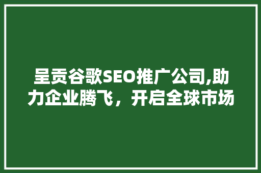 呈贡谷歌SEO推广公司,助力企业腾飞，开启全球市场新篇章