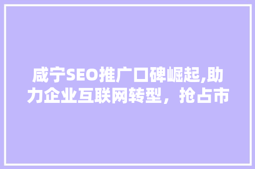 咸宁SEO推广口碑崛起,助力企业互联网转型，抢占市场先机