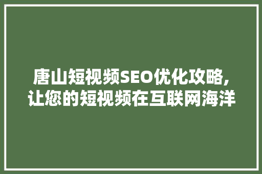 唐山短视频SEO优化攻略,让您的短视频在互联网海洋中乘风破浪