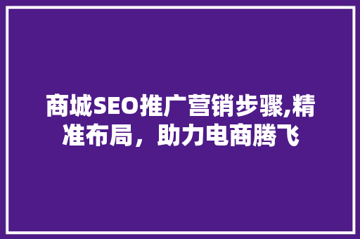 商城SEO推广营销步骤,精准布局，助力电商腾飞