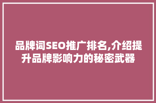 品牌词SEO推广排名,介绍提升品牌影响力的秘密武器