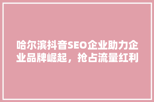 哈尔滨抖音SEO企业助力企业品牌崛起，抢占流量红利