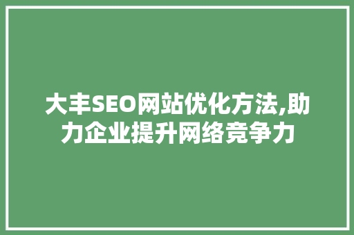 大丰SEO网站优化方法,助力企业提升网络竞争力