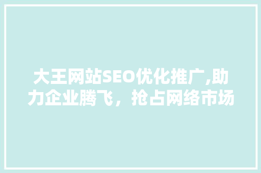 大王网站SEO优化推广,助力企业腾飞，抢占网络市场制高点