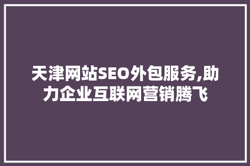 天津网站SEO外包服务,助力企业互联网营销腾飞