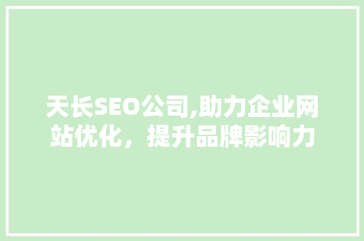 天长SEO公司,助力企业网站优化，提升品牌影响力