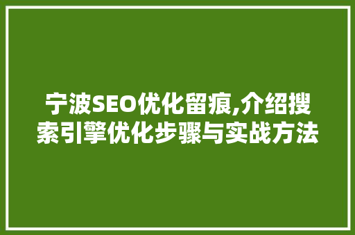 宁波SEO优化留痕,介绍搜索引擎优化步骤与实战方法